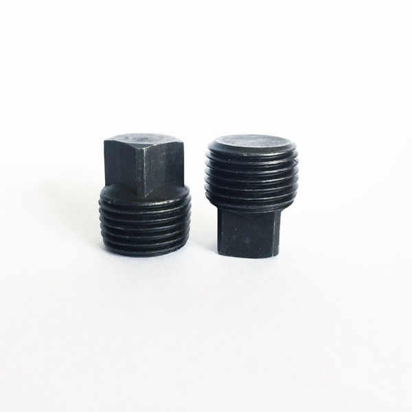 Square head screw plug2